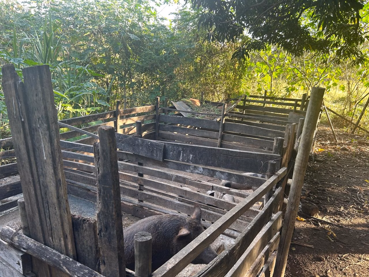 Fazenda de 220 ha em Grão Mogol, MG