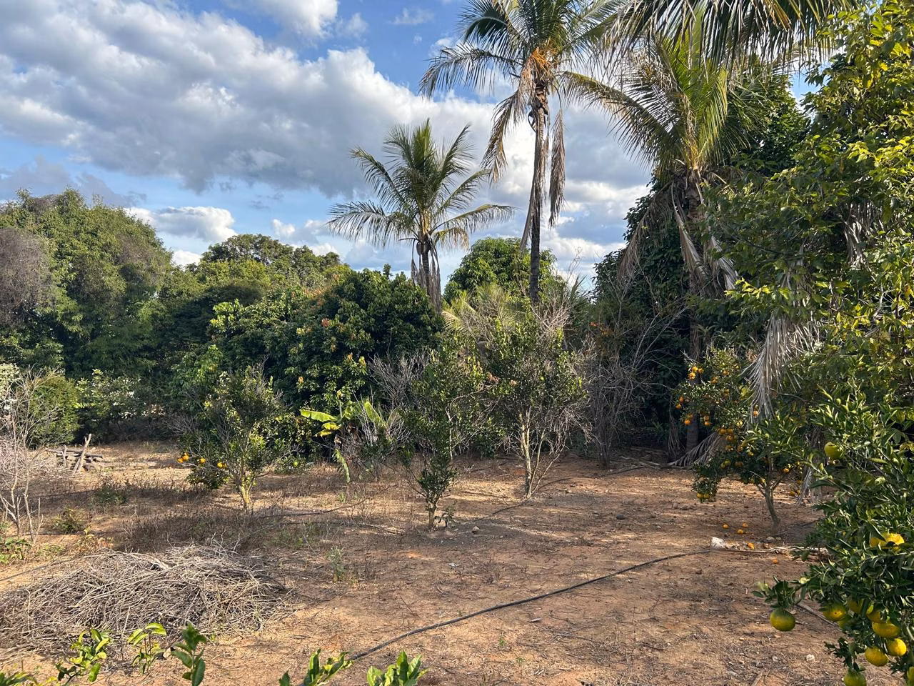 Fazenda de 220 ha em Grão Mogol, MG