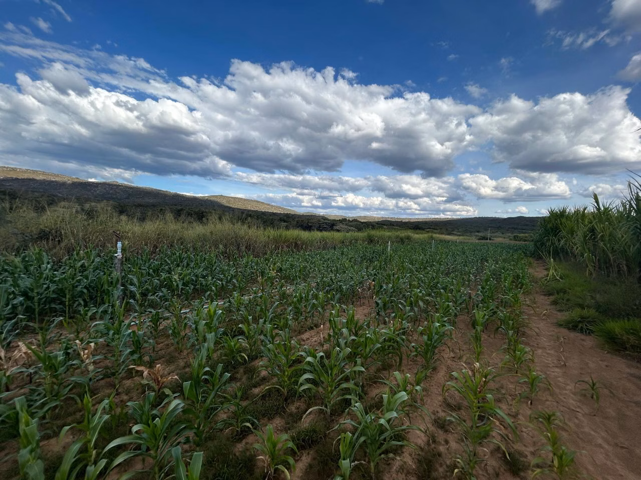 Fazenda de 220 ha em Grão Mogol, MG