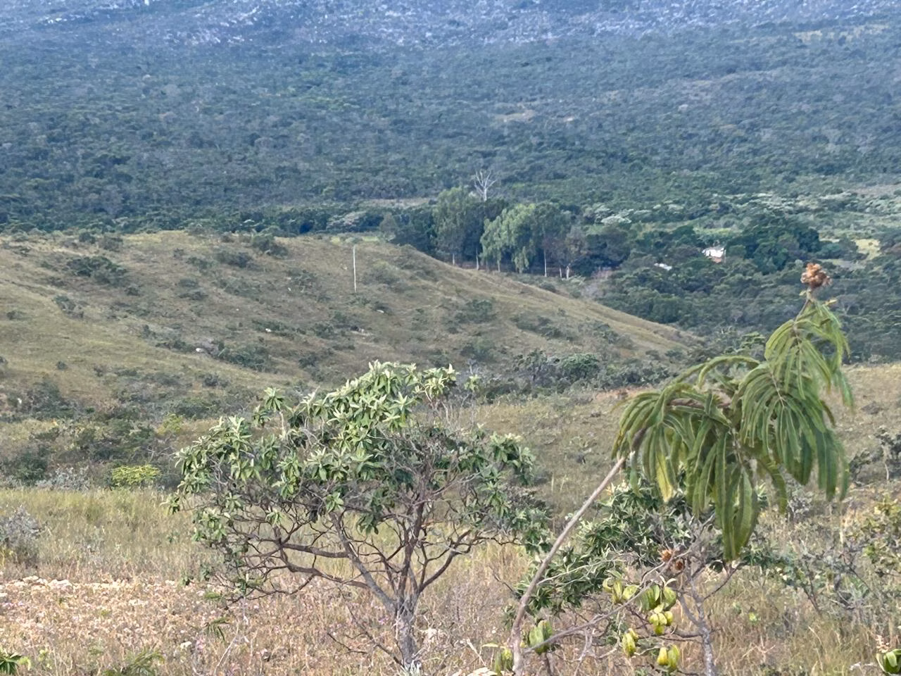 Fazenda de 220 ha em Grão Mogol, MG