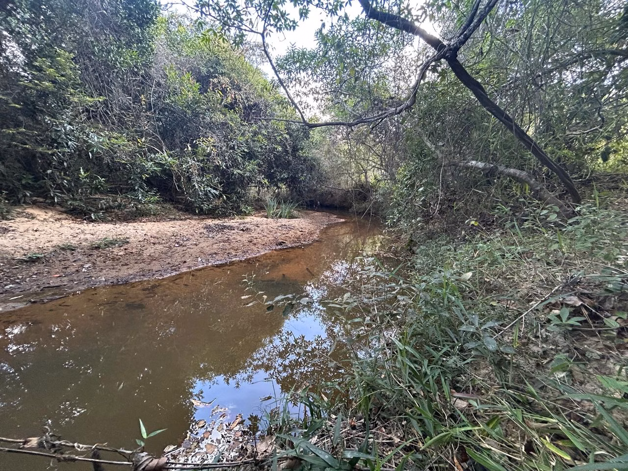 Farm of 544 acres in Grão Mogol, MG, Brazil