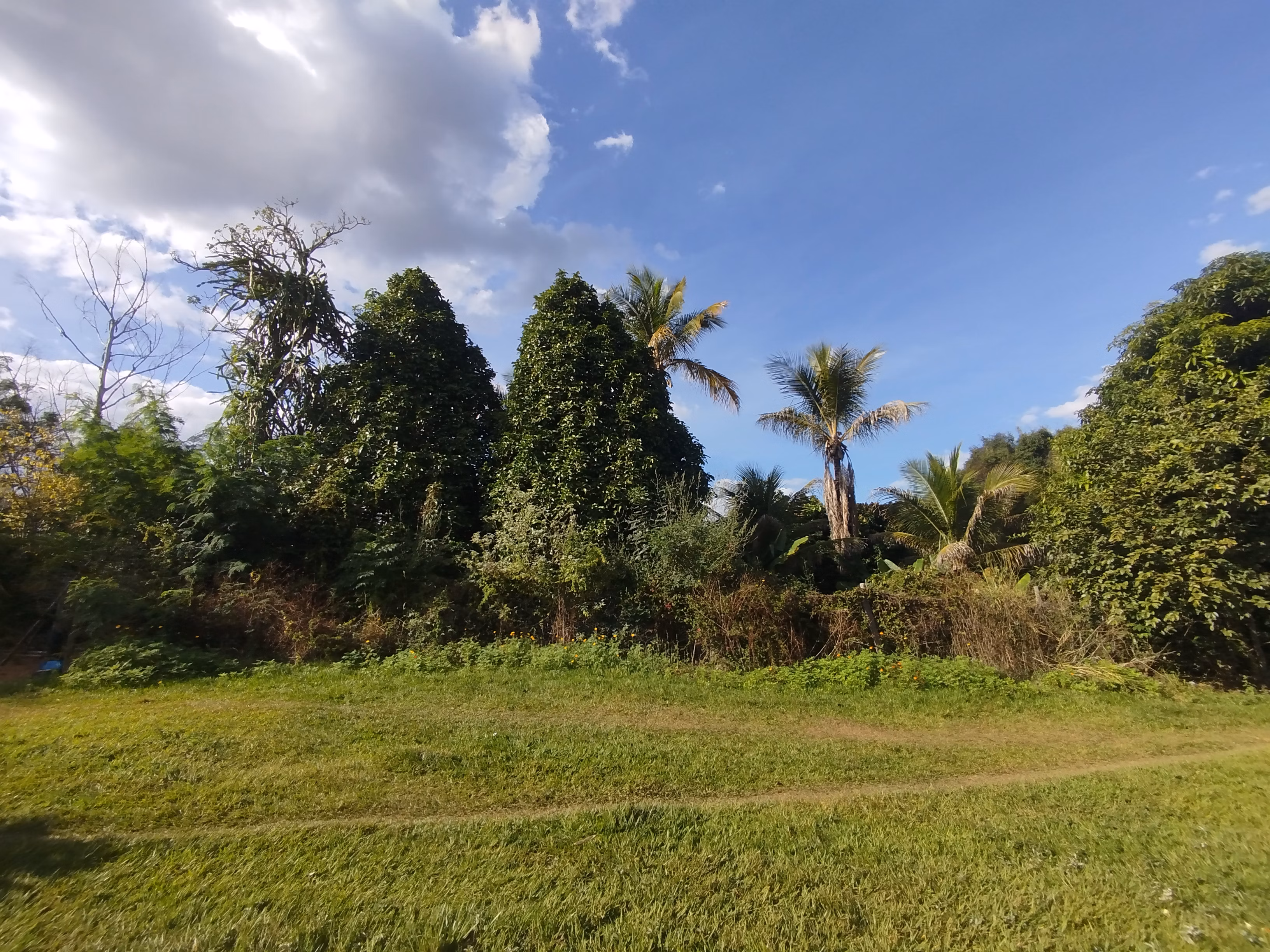 Fazenda de 220 ha em Grão Mogol, MG