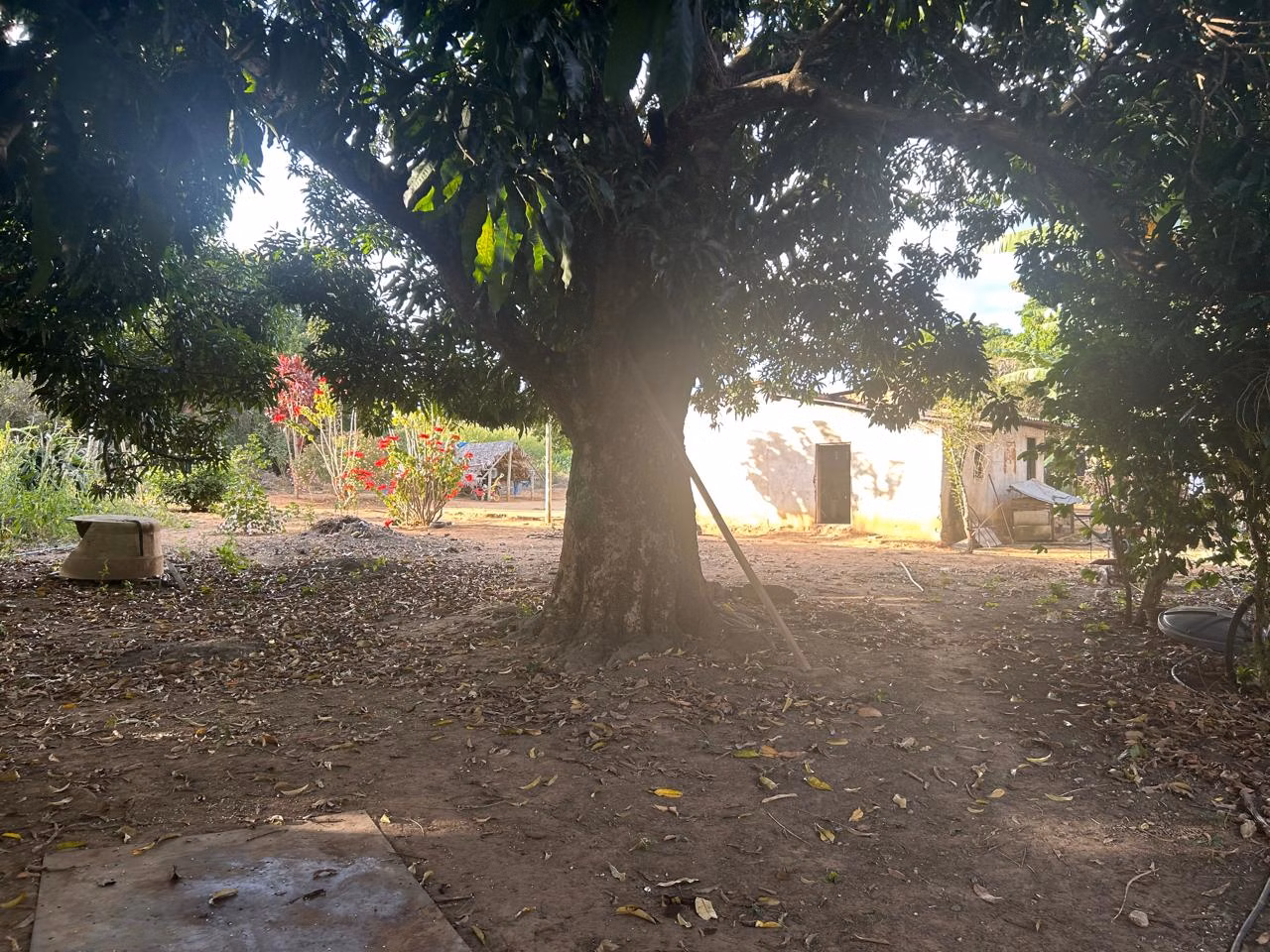 Farm of 544 acres in Grão Mogol, MG, Brazil