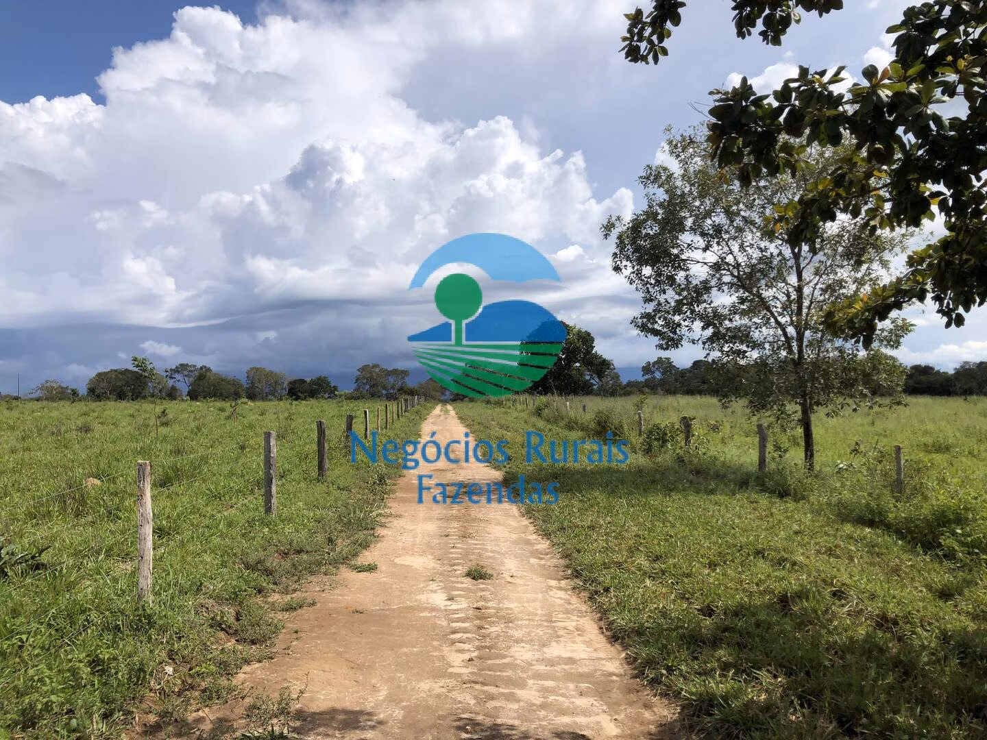Fazenda de 363 ha em Niquelândia, GO