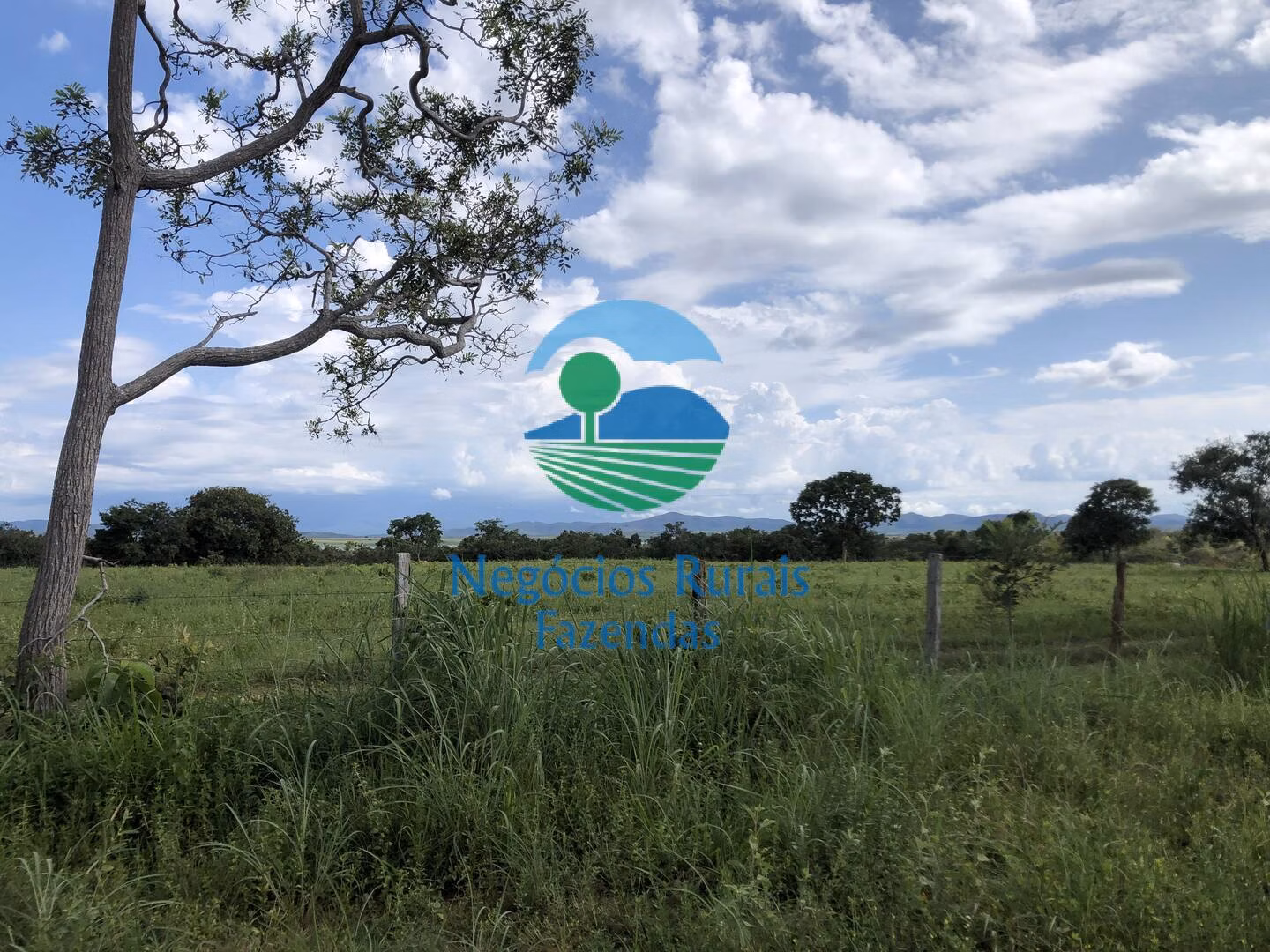 Fazenda de 363 ha em Niquelândia, GO
