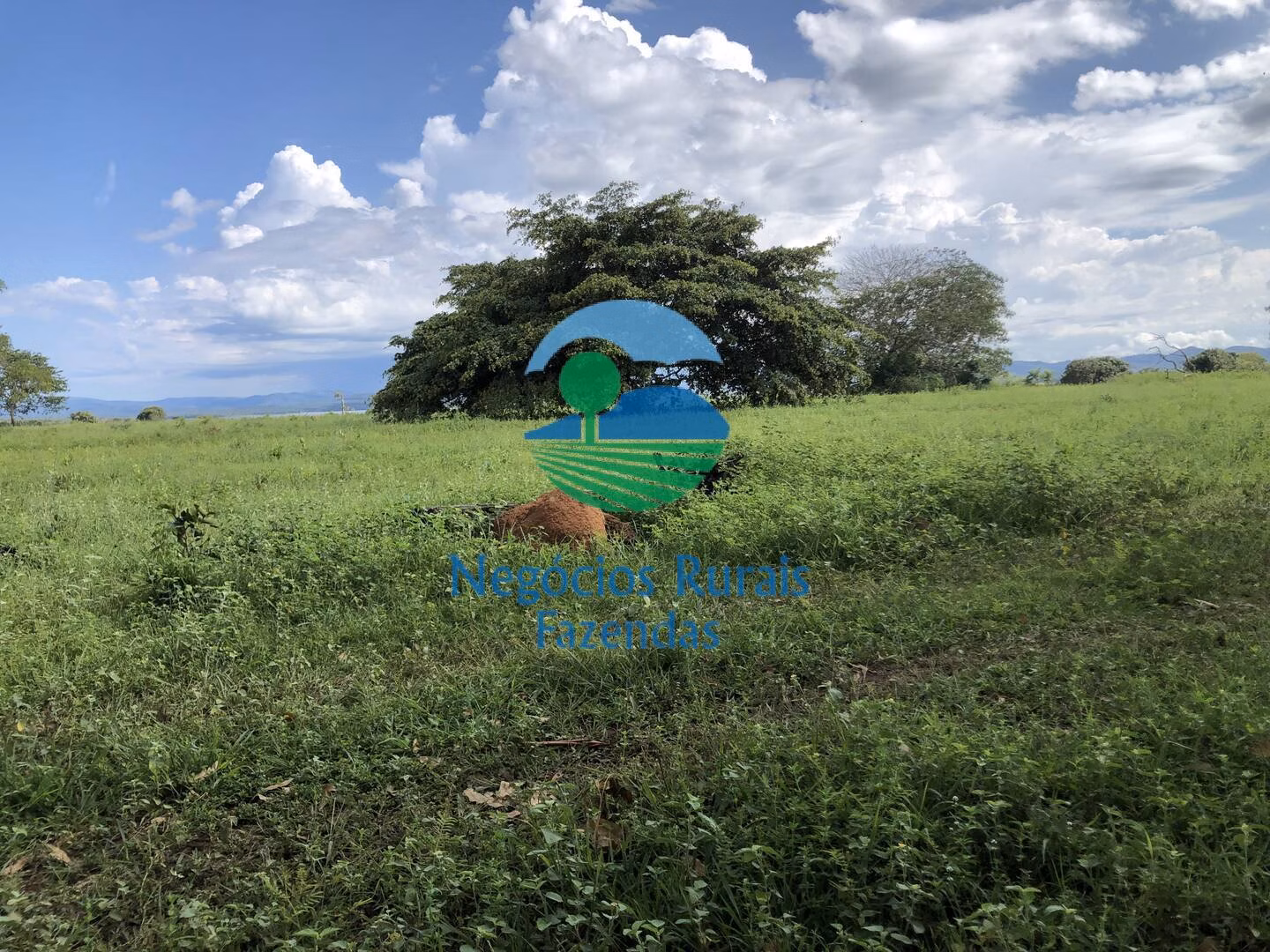 Fazenda de 363 ha em Niquelândia, GO