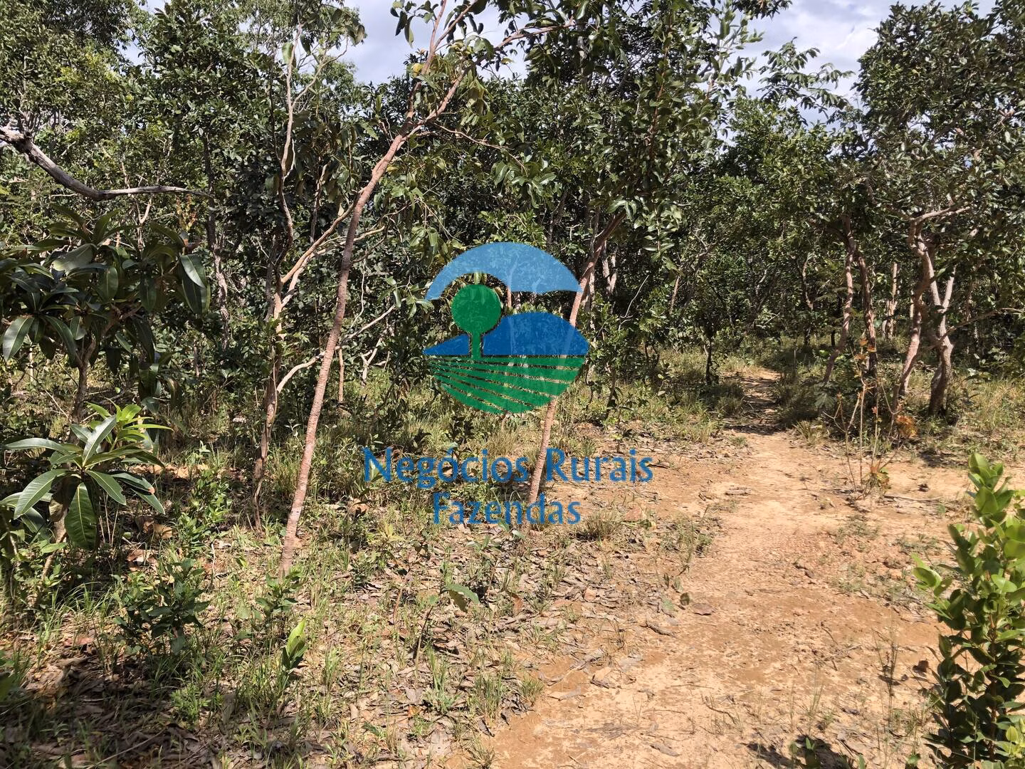 Fazenda de 363 ha em Niquelândia, GO