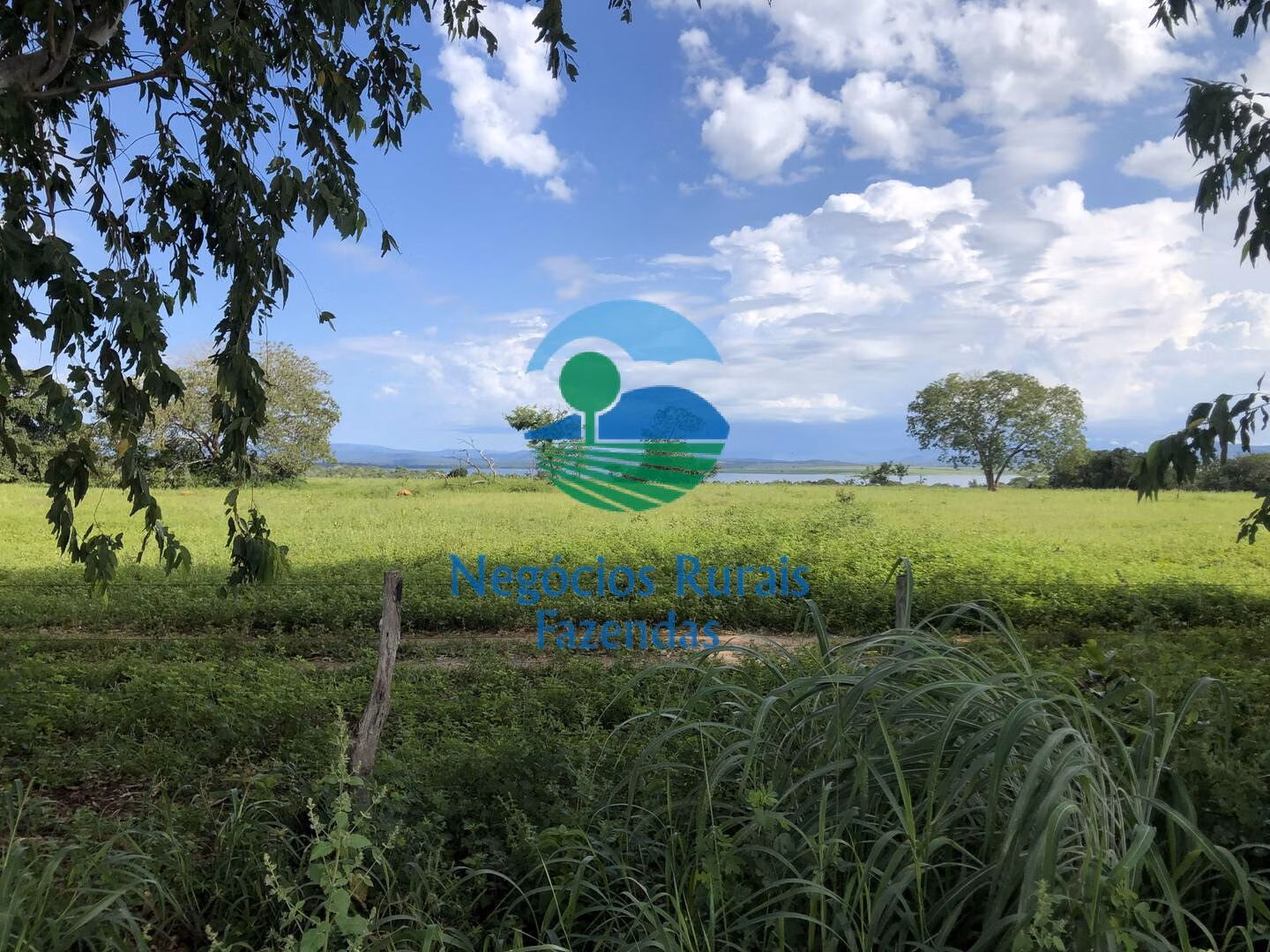 Fazenda de 363 ha em Niquelândia, GO