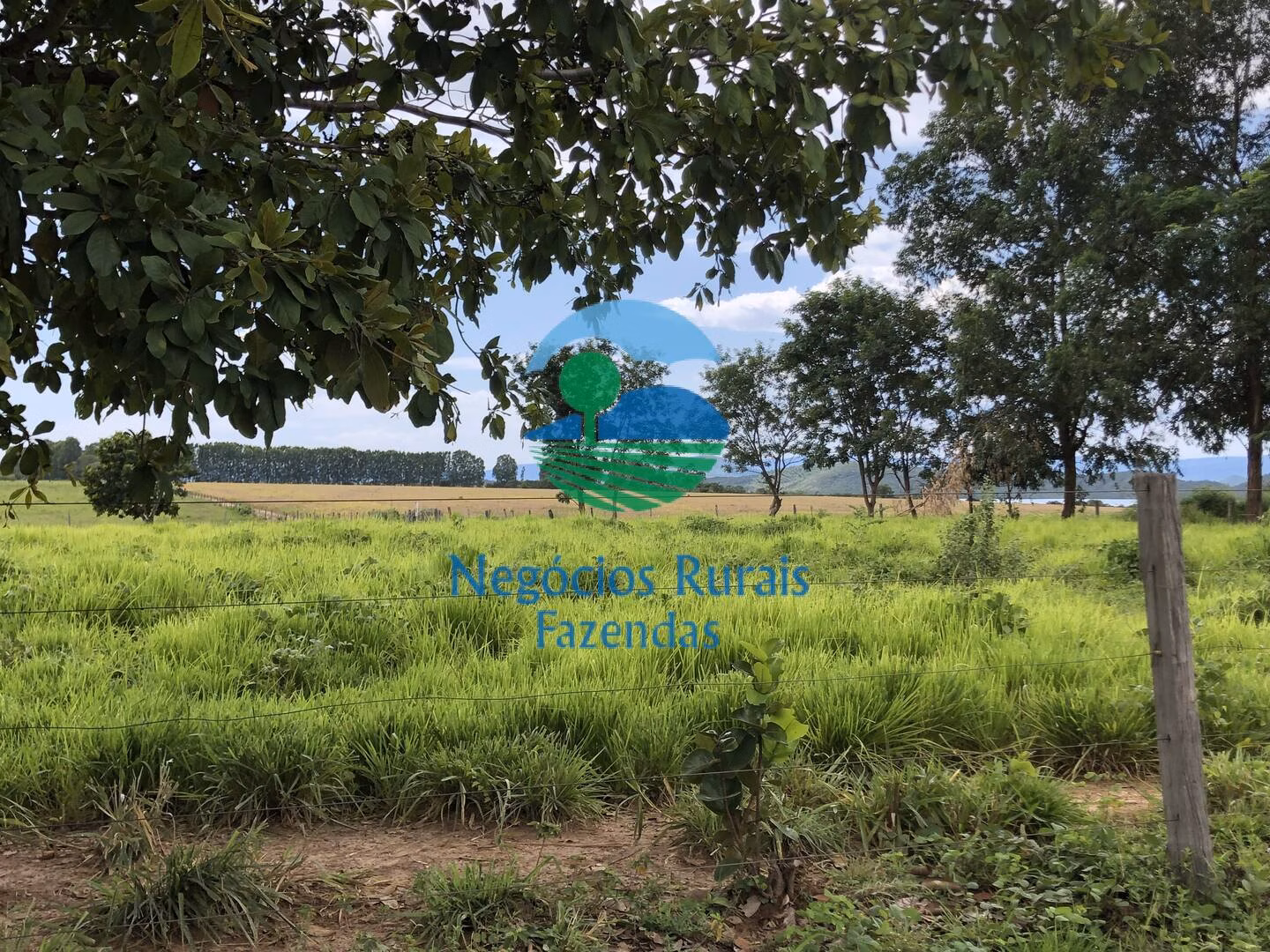 Fazenda de 363 ha em Niquelândia, GO