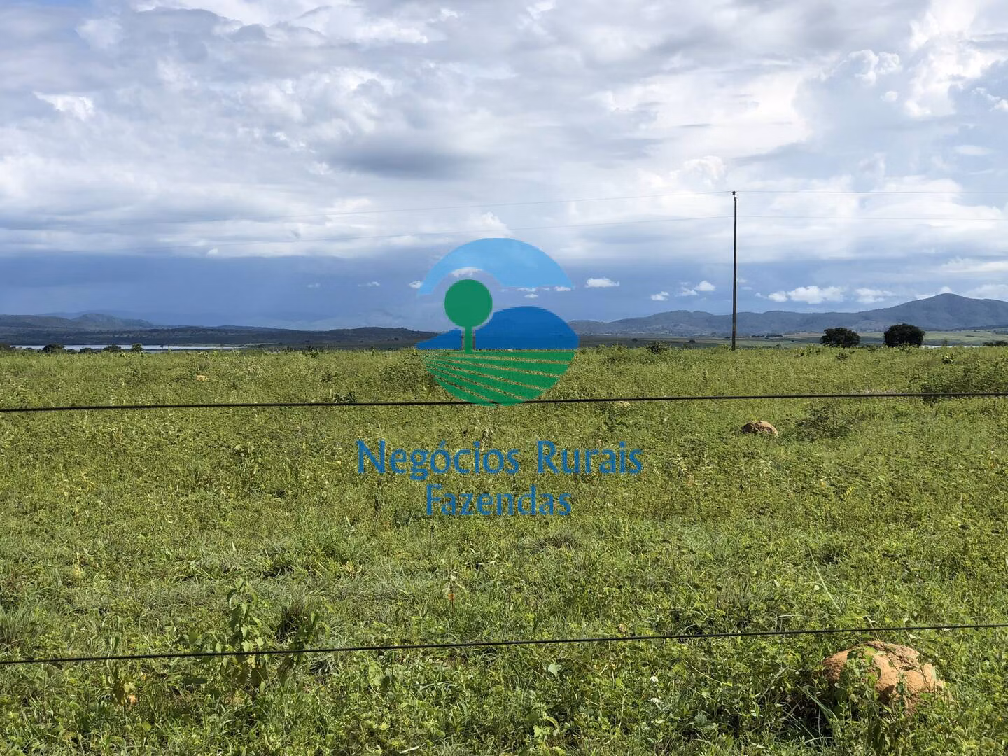 Fazenda de 363 ha em Niquelândia, GO