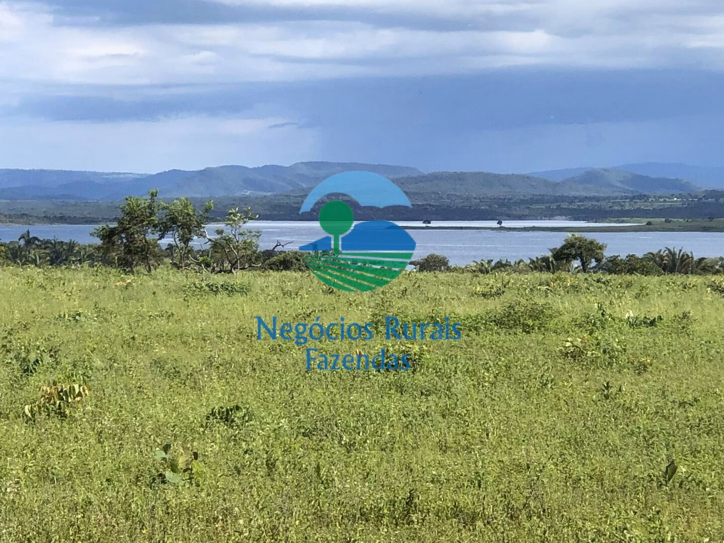 Fazenda de 363 ha em Niquelândia, GO