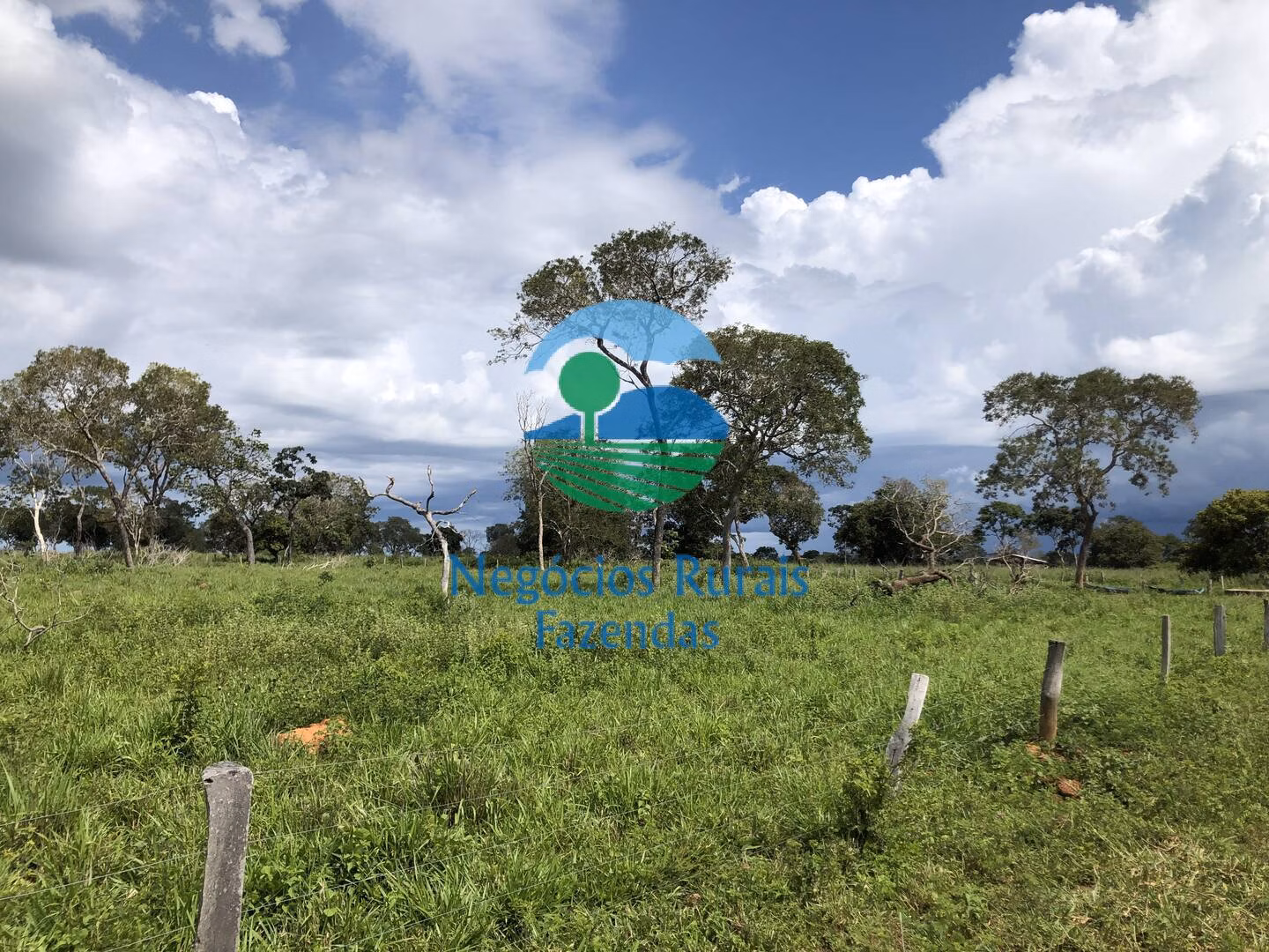 Fazenda de 363 ha em Niquelândia, GO