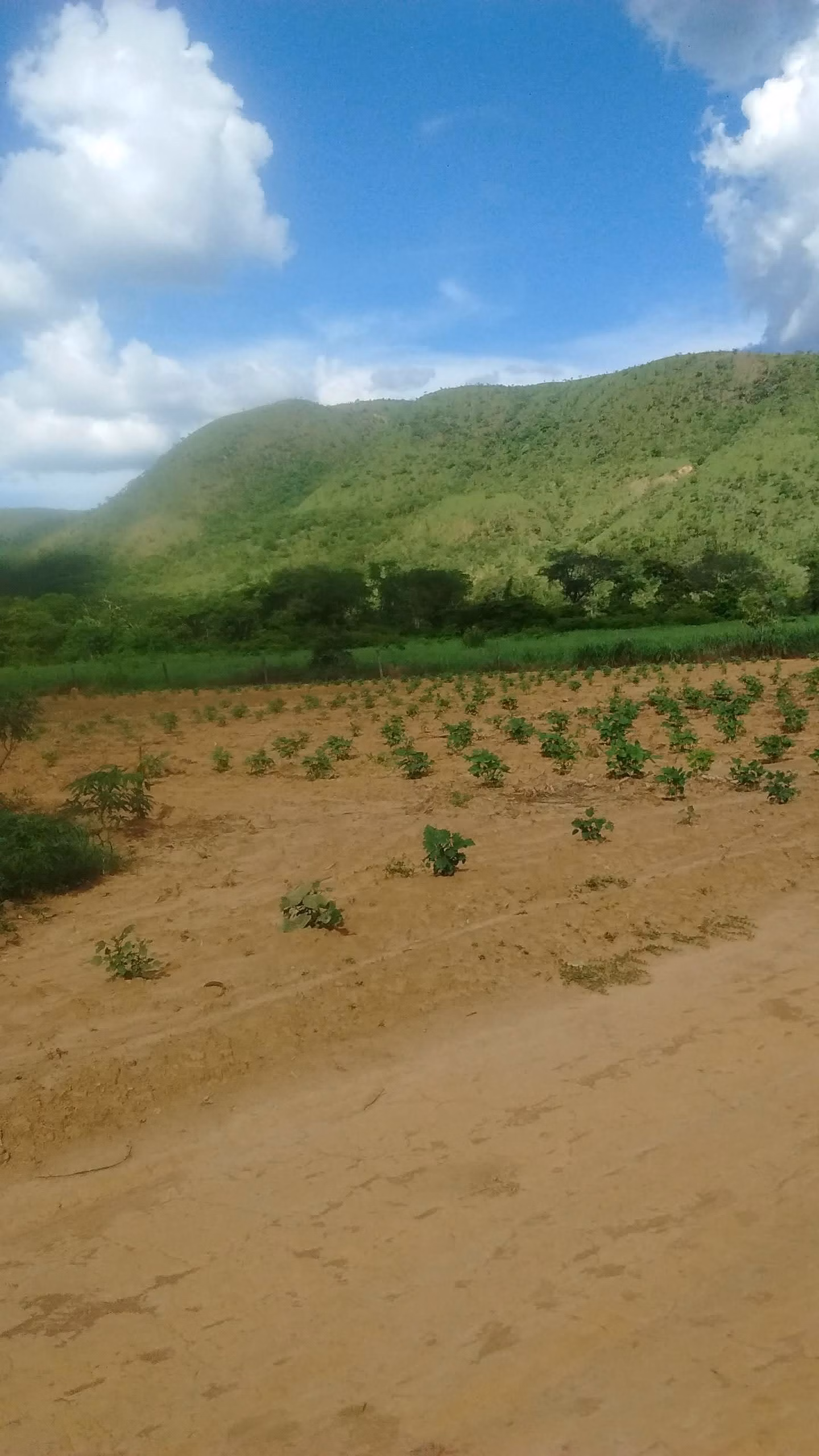 Small farm of 25 acres in Vila Boa, GO, Brazil