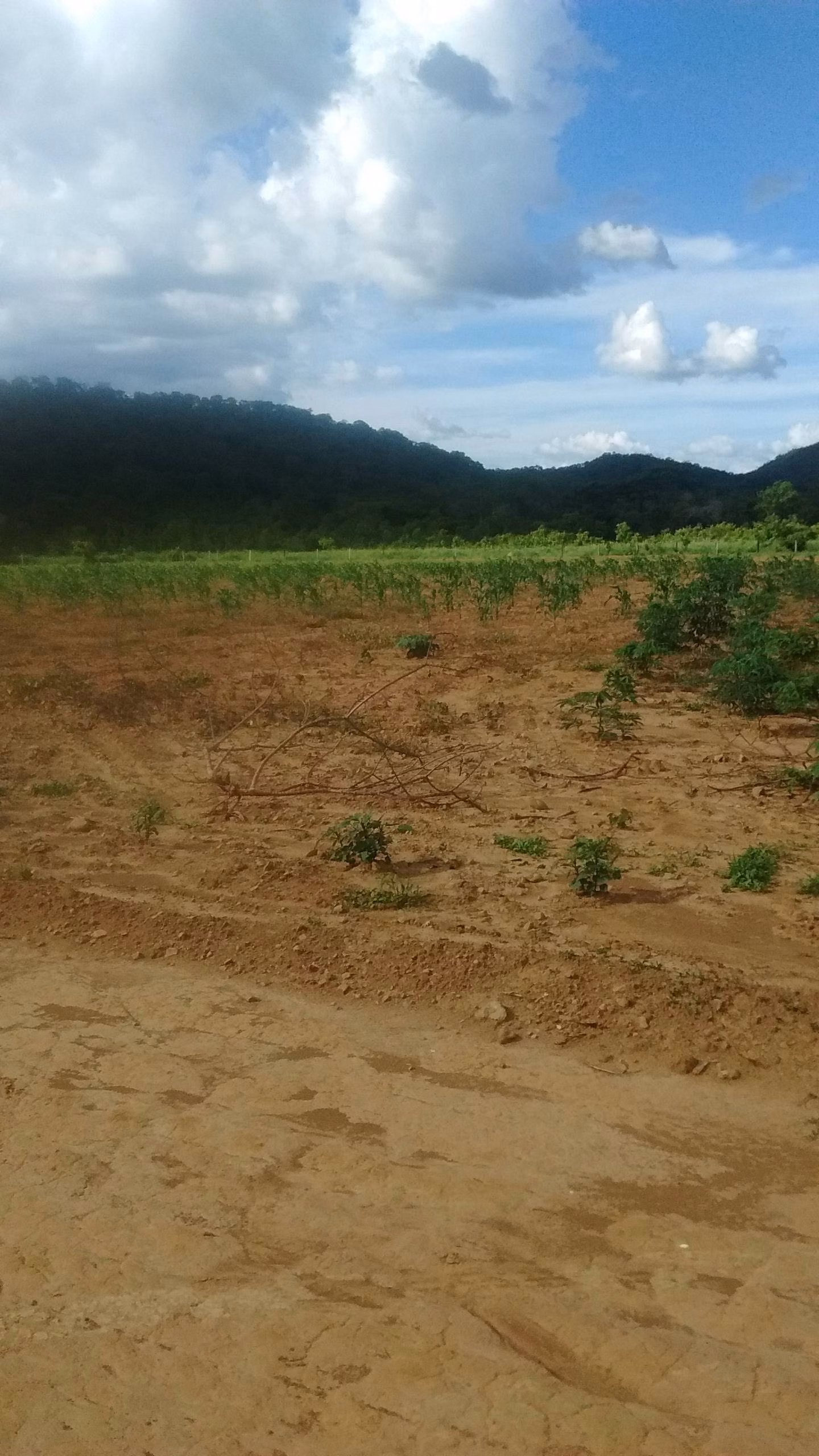 Small farm of 25 acres in Vila Boa, GO, Brazil