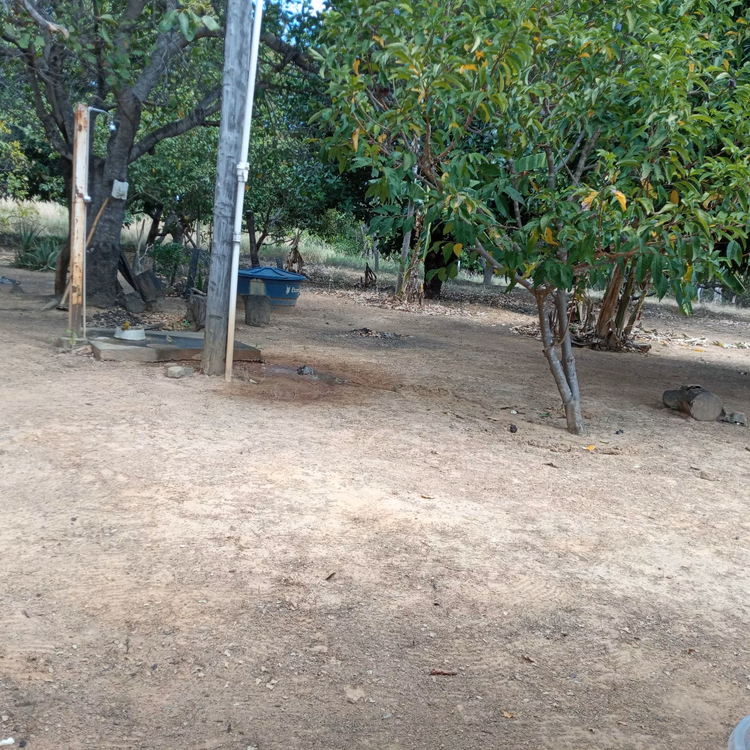 Small farm of 25 acres in Vila Boa, GO, Brazil