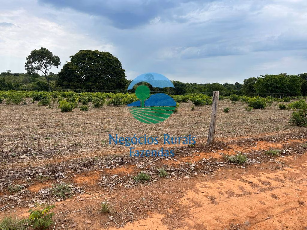 Fazenda de 517 ha em São Valério, TO