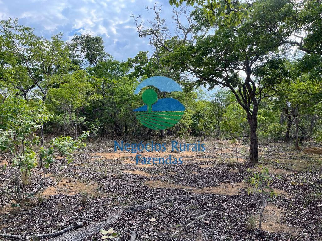 Fazenda de 517 ha em São Valério, TO