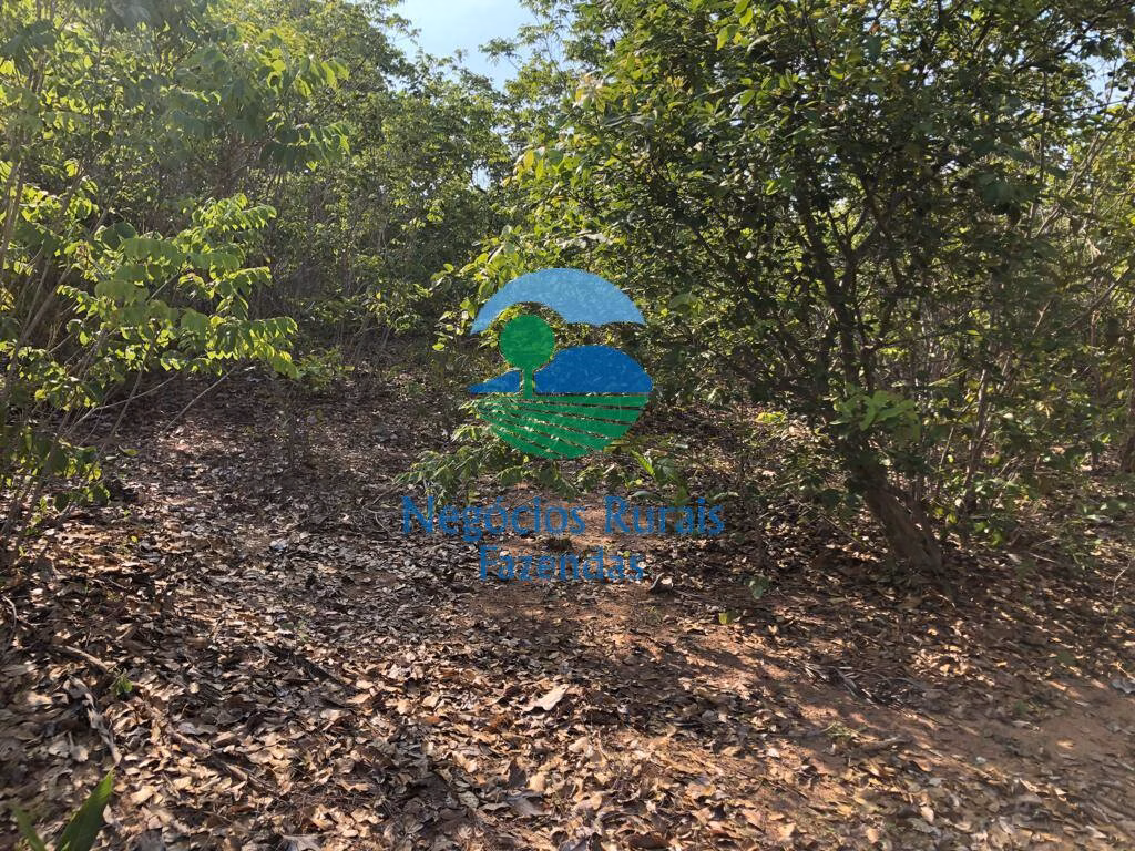 Fazenda de 517 ha em São Valério, TO
