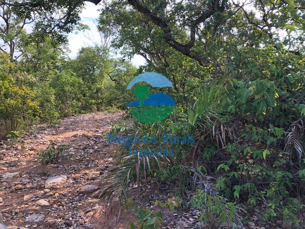 Fazenda de 517 ha em São Valério, TO
