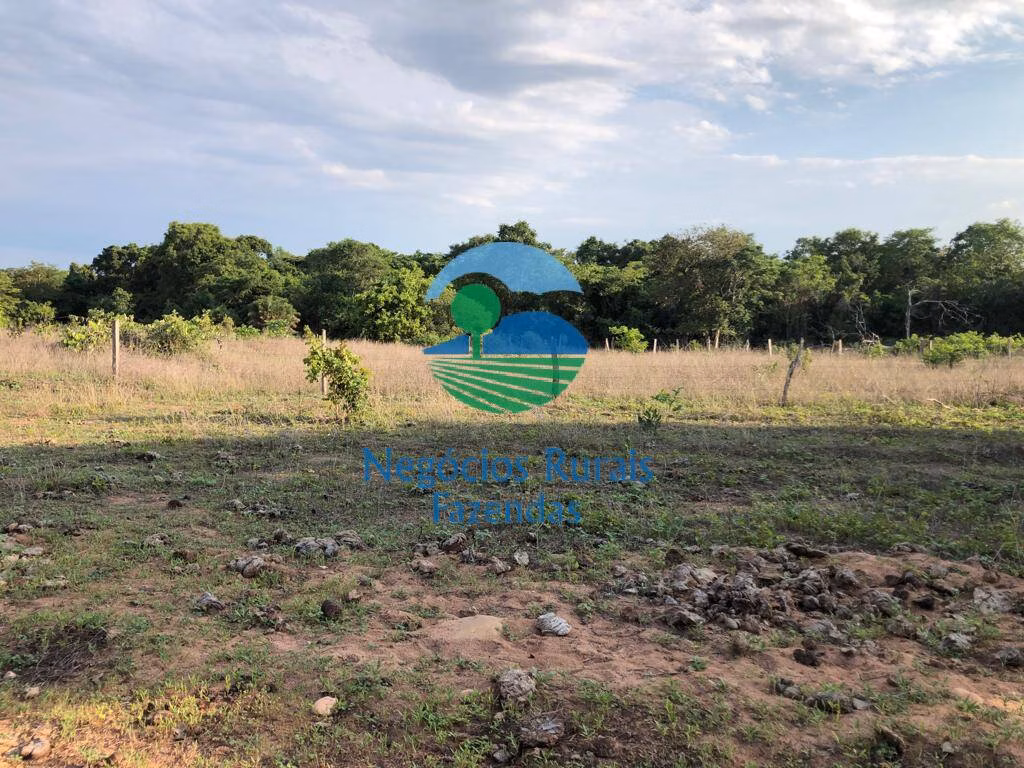 Fazenda de 517 ha em São Valério, TO