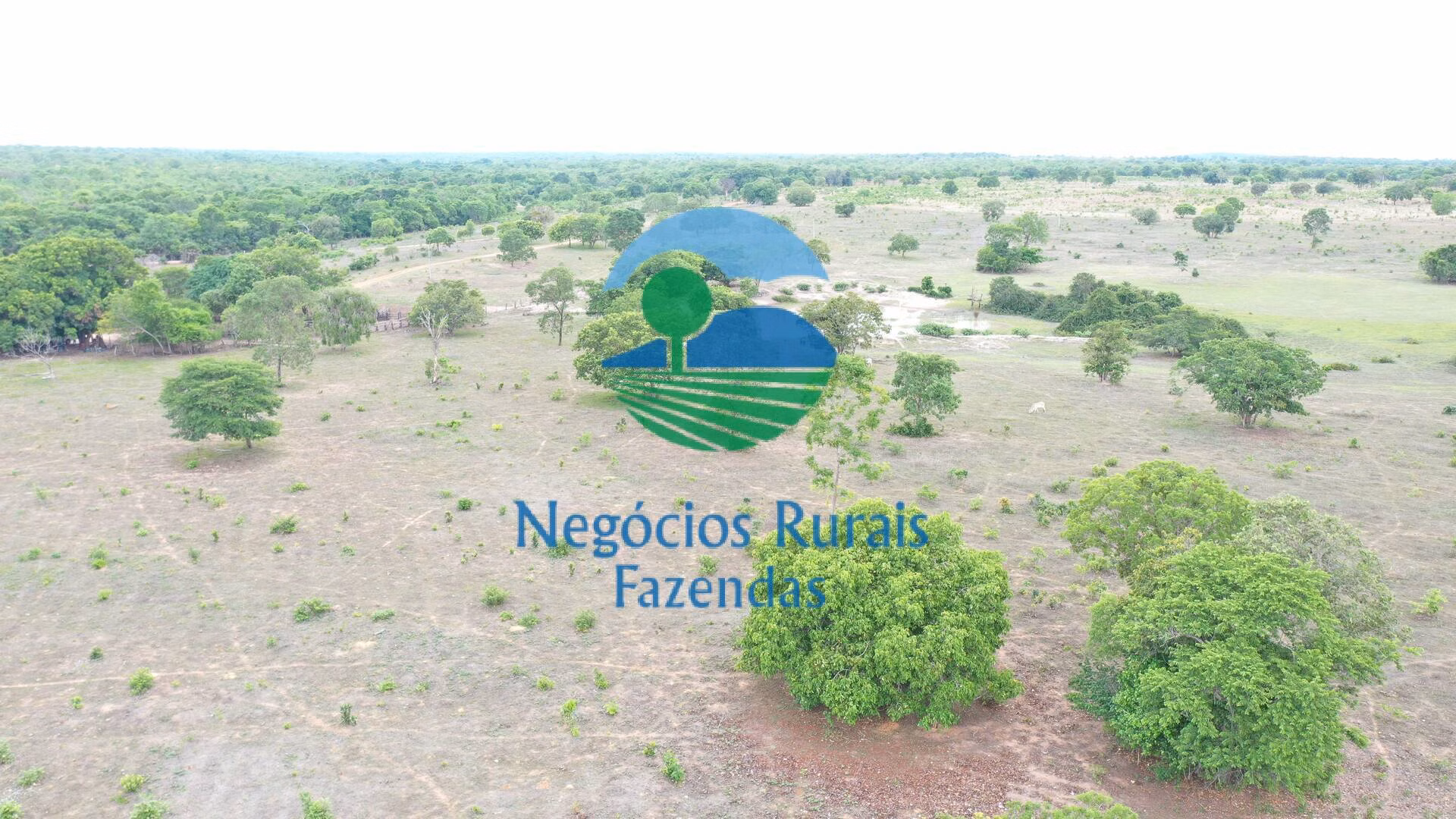 Fazenda de 517 ha em São Valério, TO