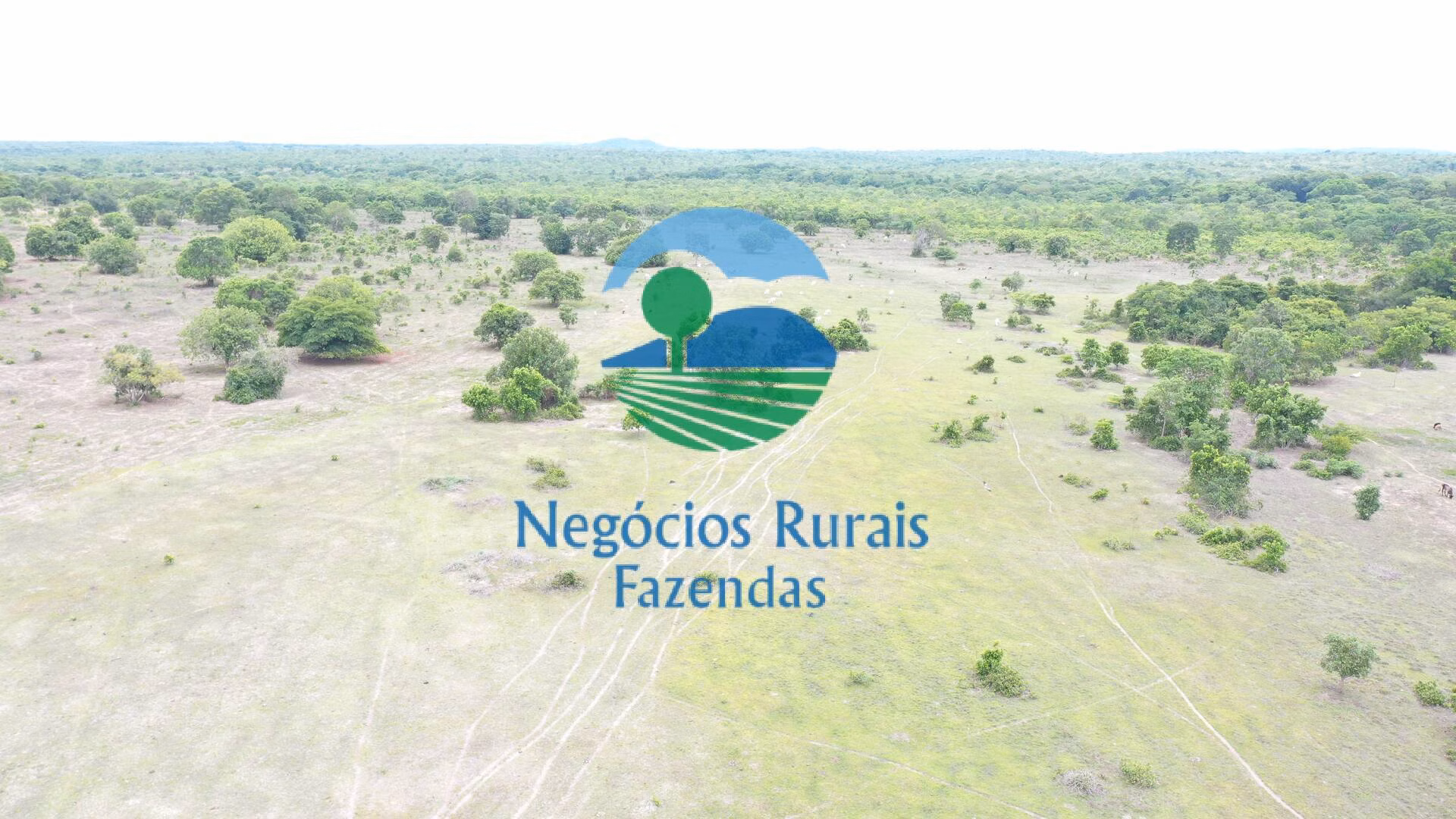 Fazenda de 517 ha em São Valério, TO