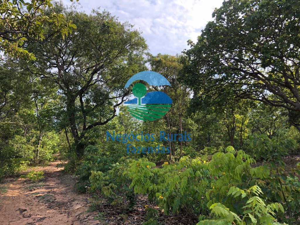 Fazenda de 517 ha em São Valério, TO