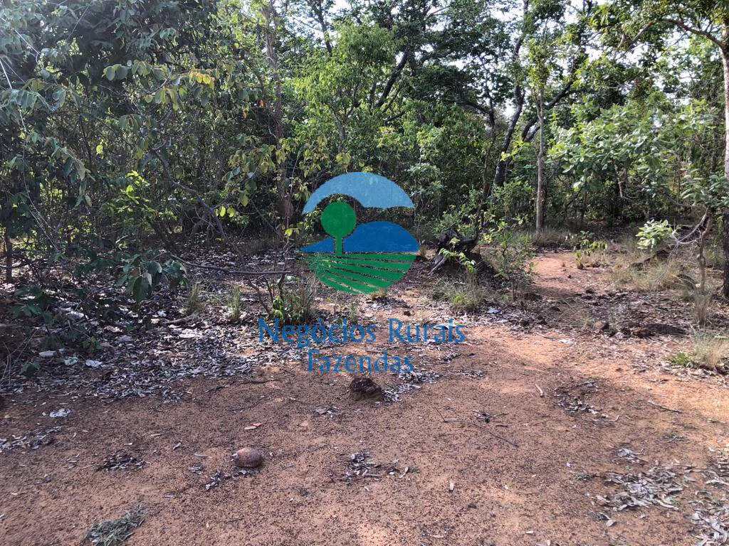 Fazenda de 517 ha em São Valério, TO