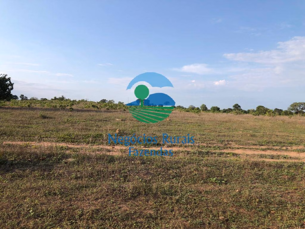 Fazenda de 517 ha em São Valério, TO