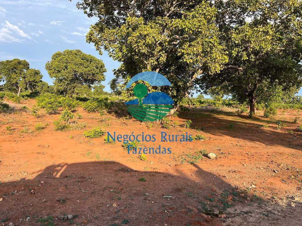 Fazenda de 517 ha em São Valério, TO