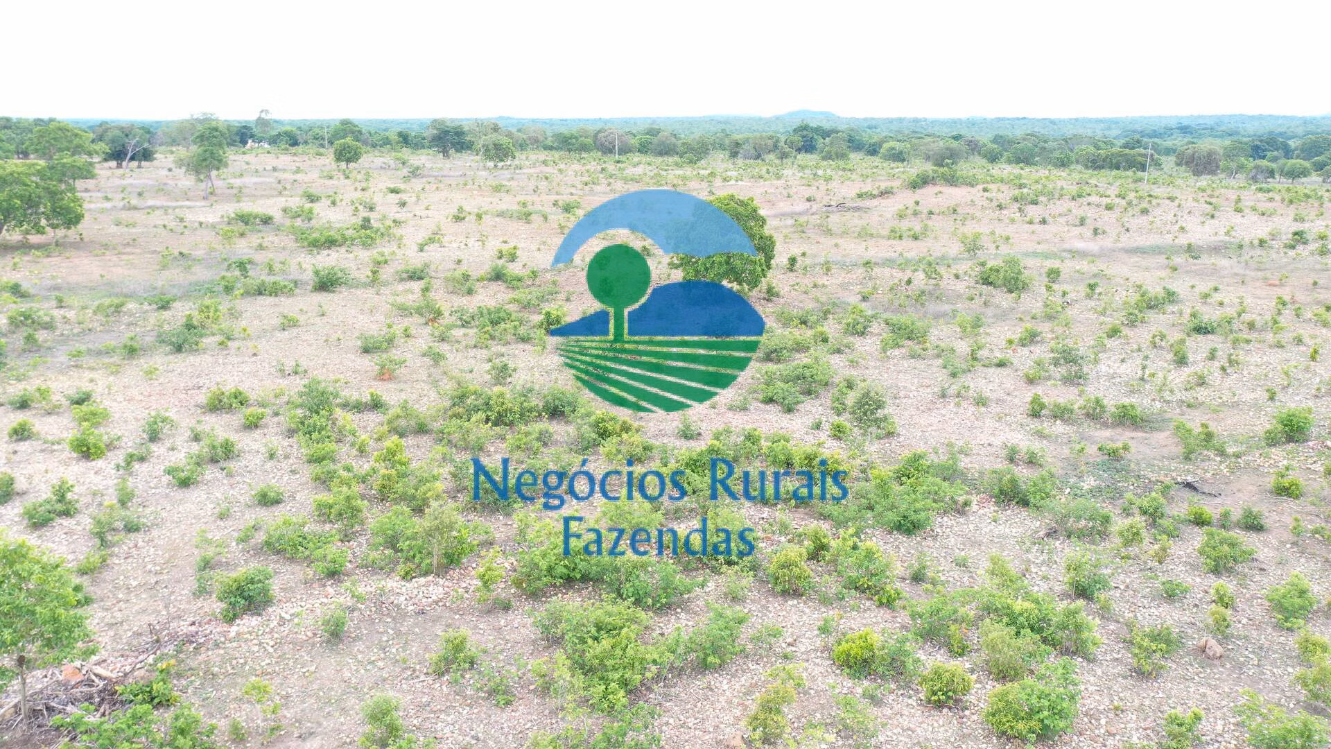 Fazenda de 517 ha em São Valério, TO