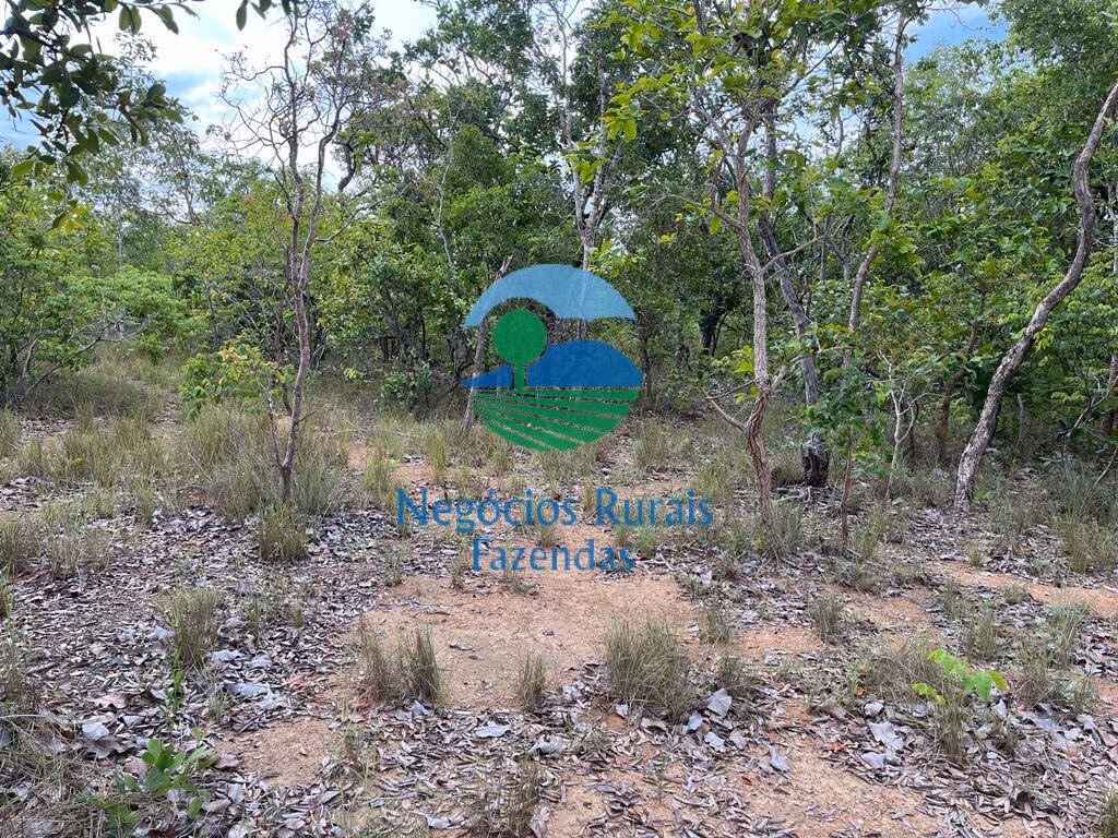 Fazenda de 517 ha em São Valério, TO