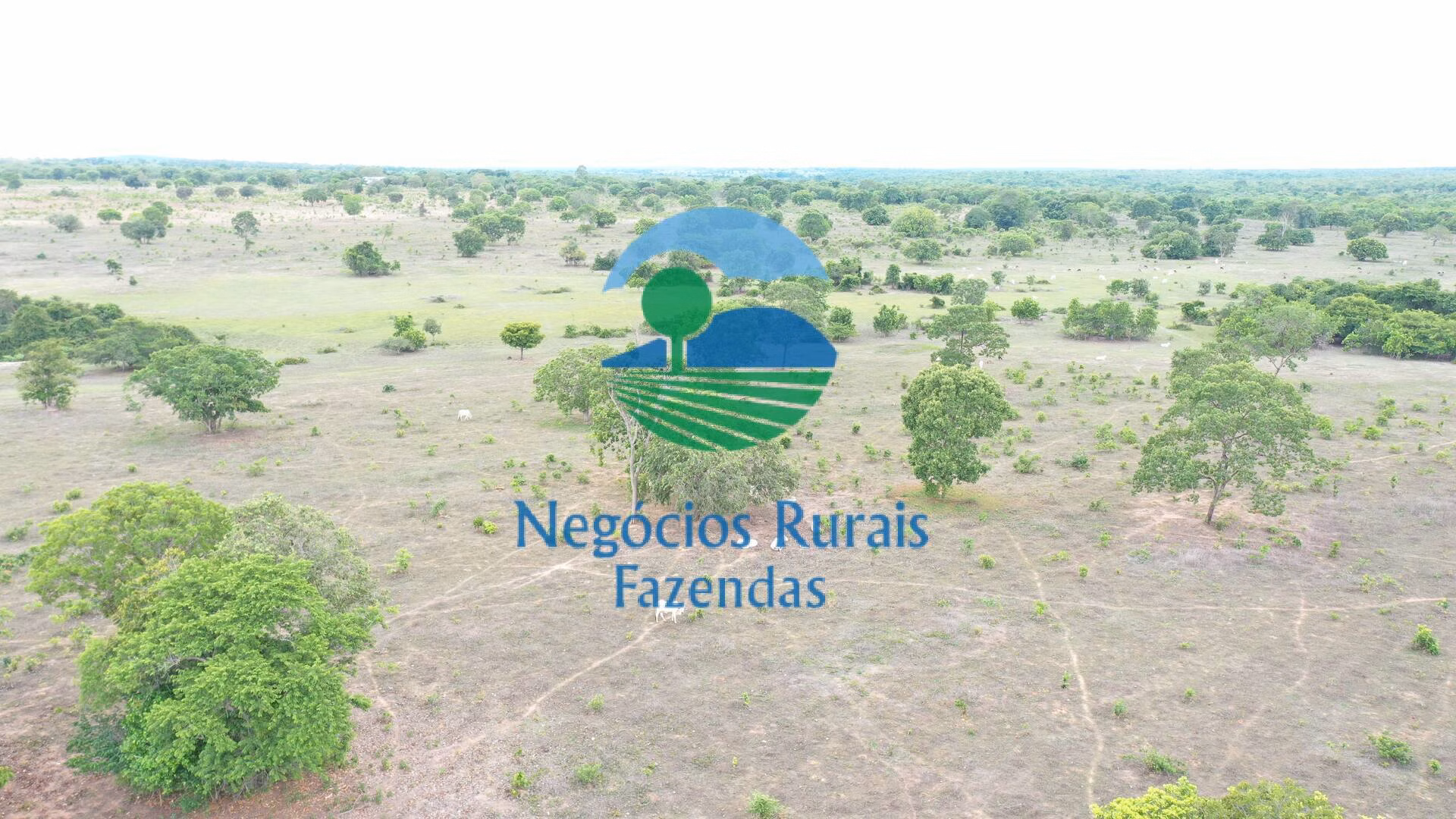 Fazenda de 517 ha em São Valério, TO