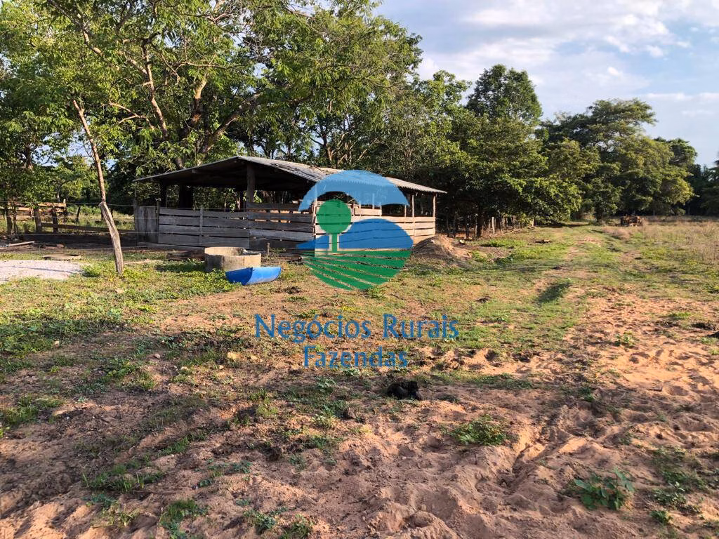 Fazenda de 517 ha em São Valério, TO
