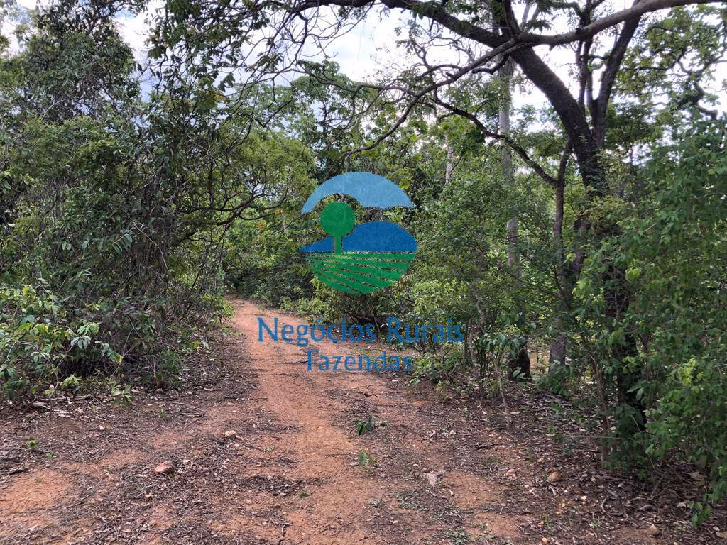 Fazenda de 517 ha em São Valério, TO
