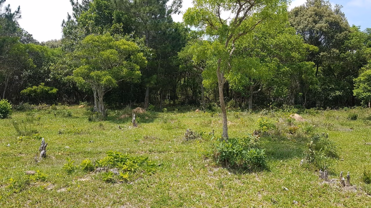 Small farm of 42 acres in Itapetininga, SP, Brazil