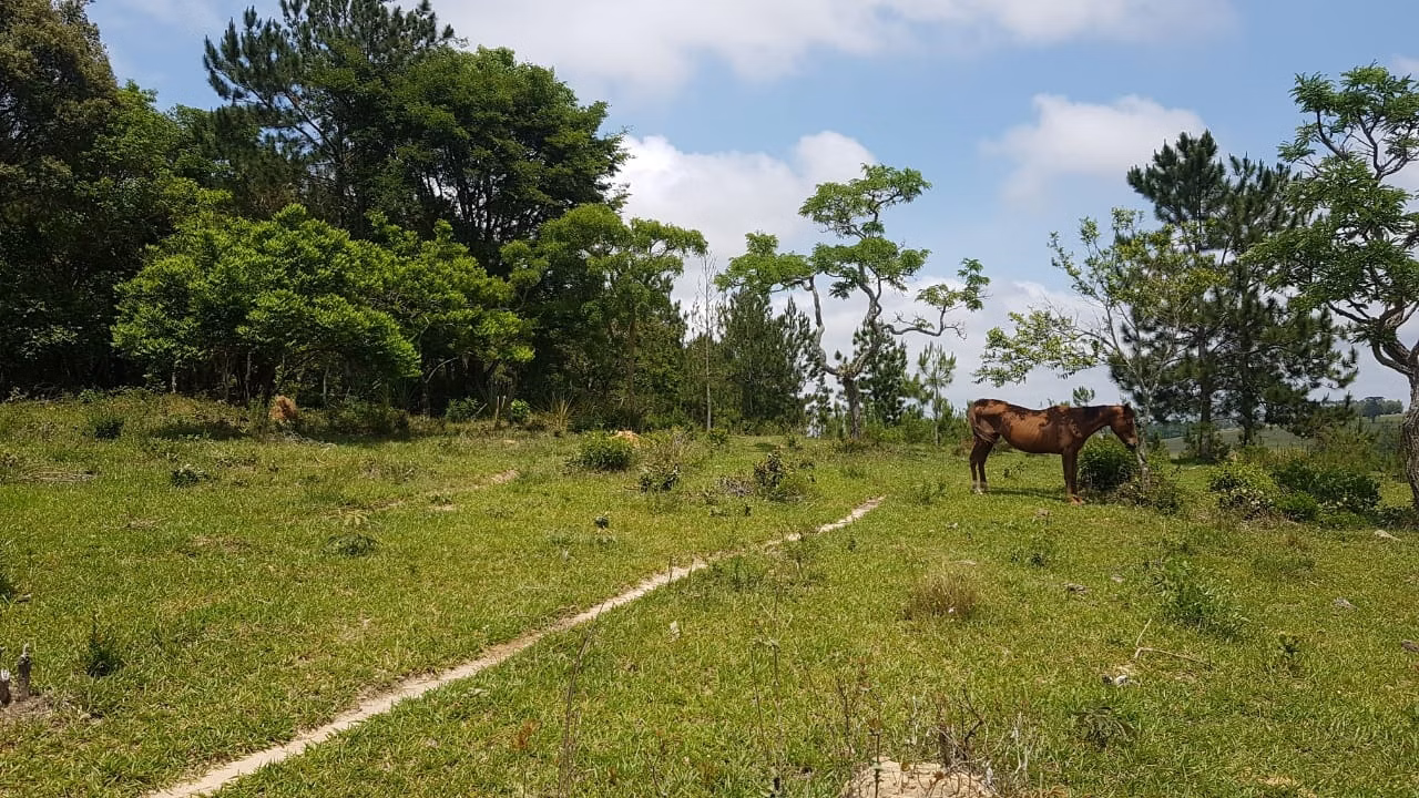 Small farm of 42 acres in Itapetininga, SP, Brazil