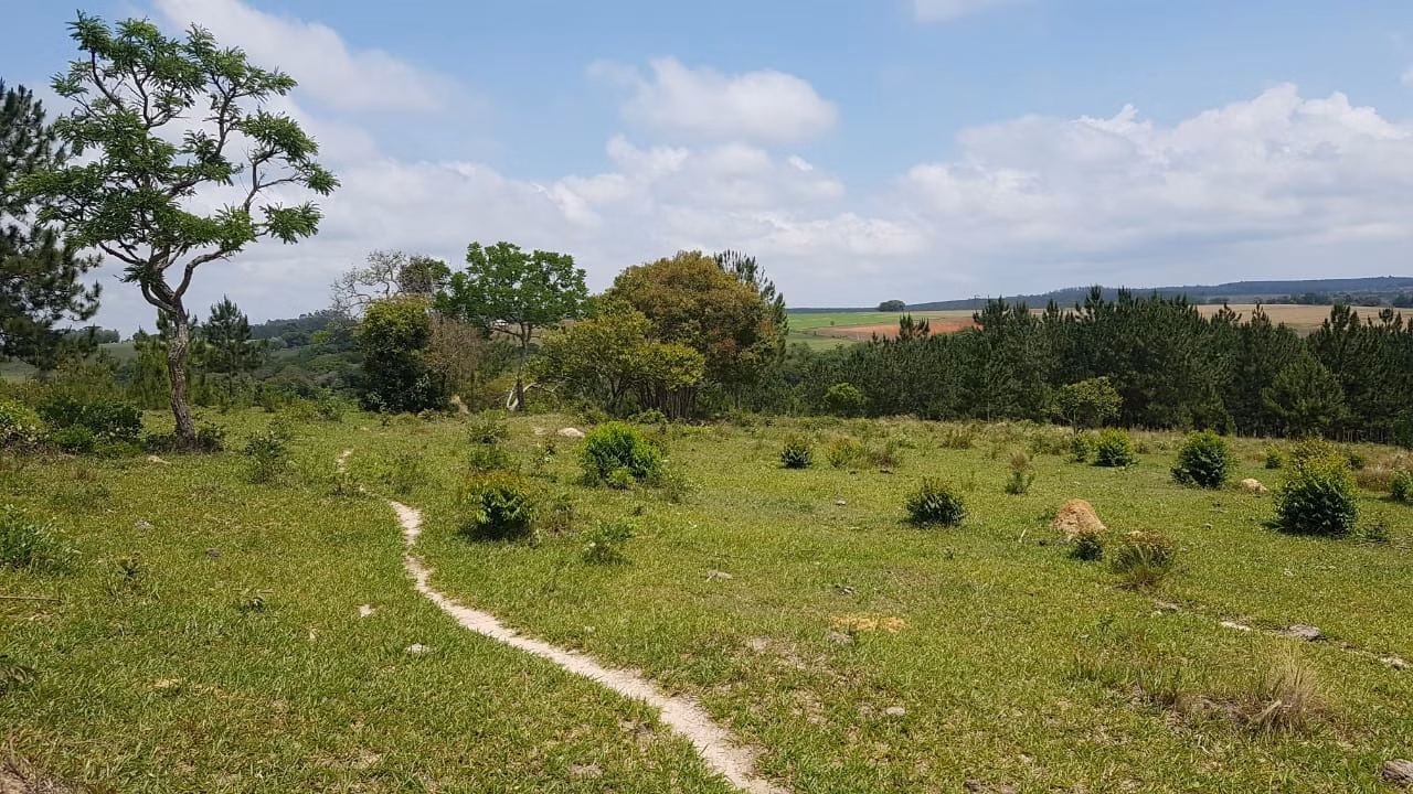 Small farm of 42 acres in Itapetininga, SP, Brazil