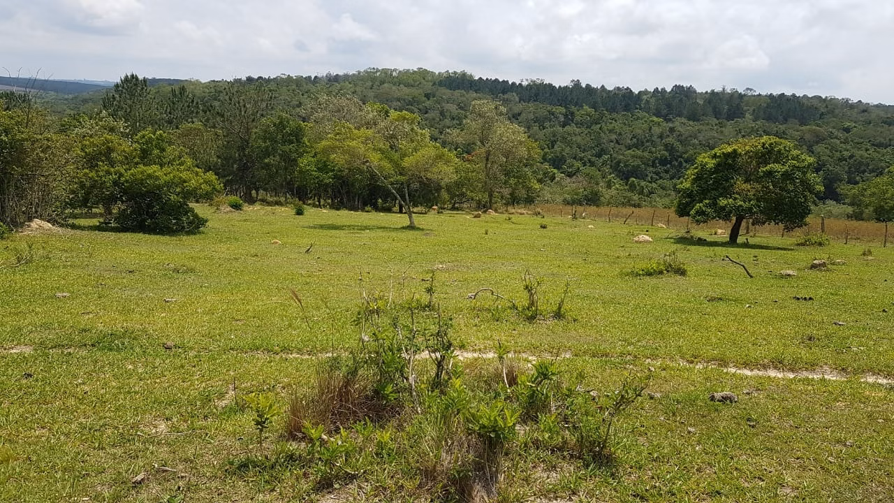 Small farm of 42 acres in Itapetininga, SP, Brazil