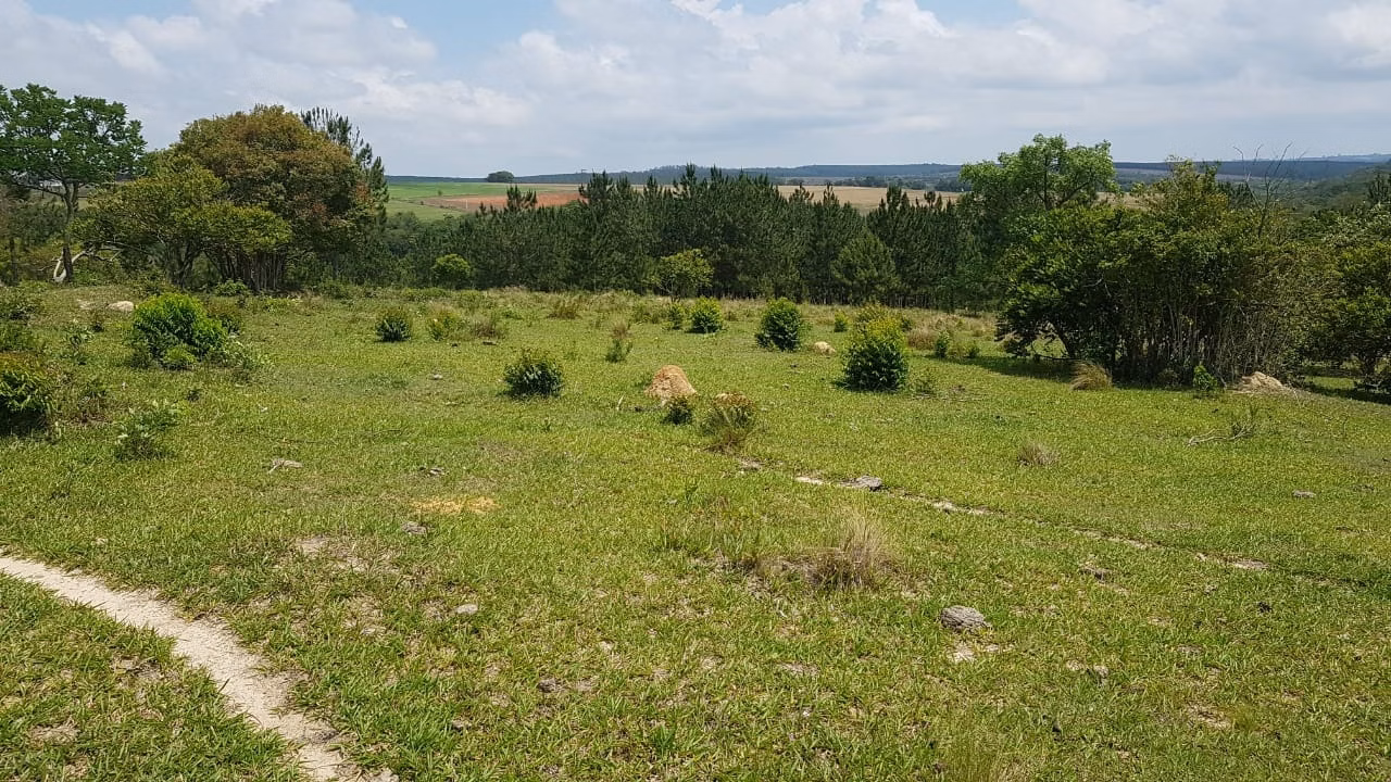 Small farm of 42 acres in Itapetininga, SP, Brazil