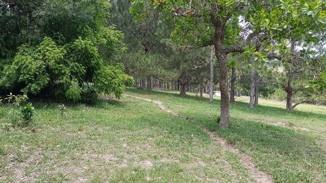 Small farm of 42 acres in Itapetininga, SP, Brazil