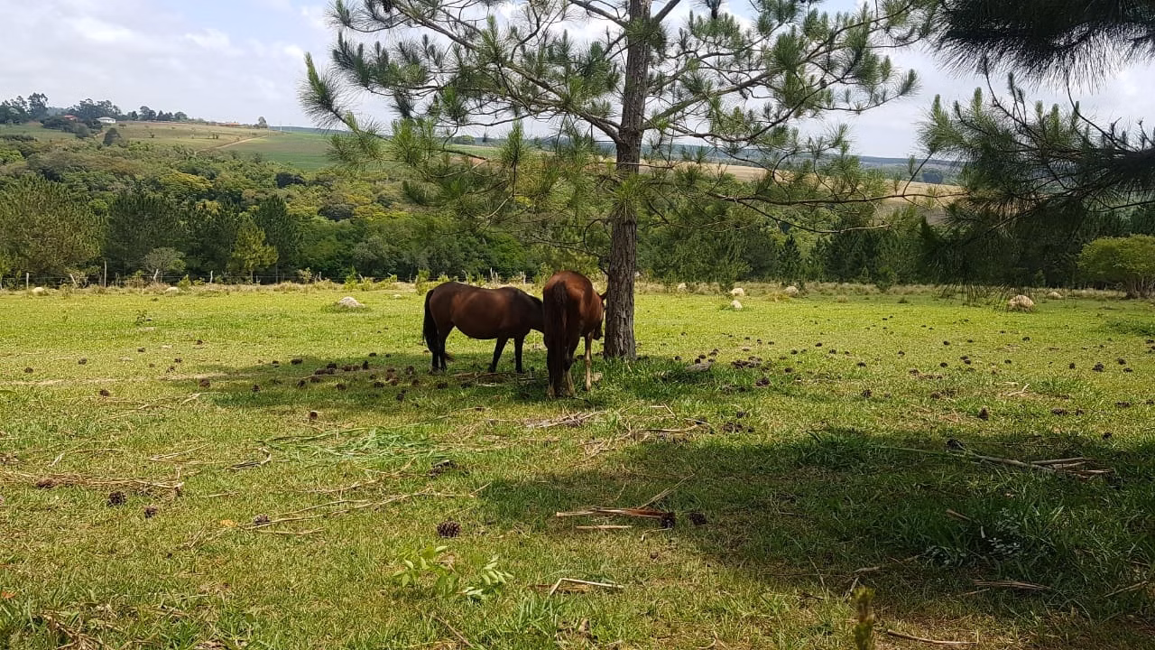 Small farm of 42 acres in Itapetininga, SP, Brazil
