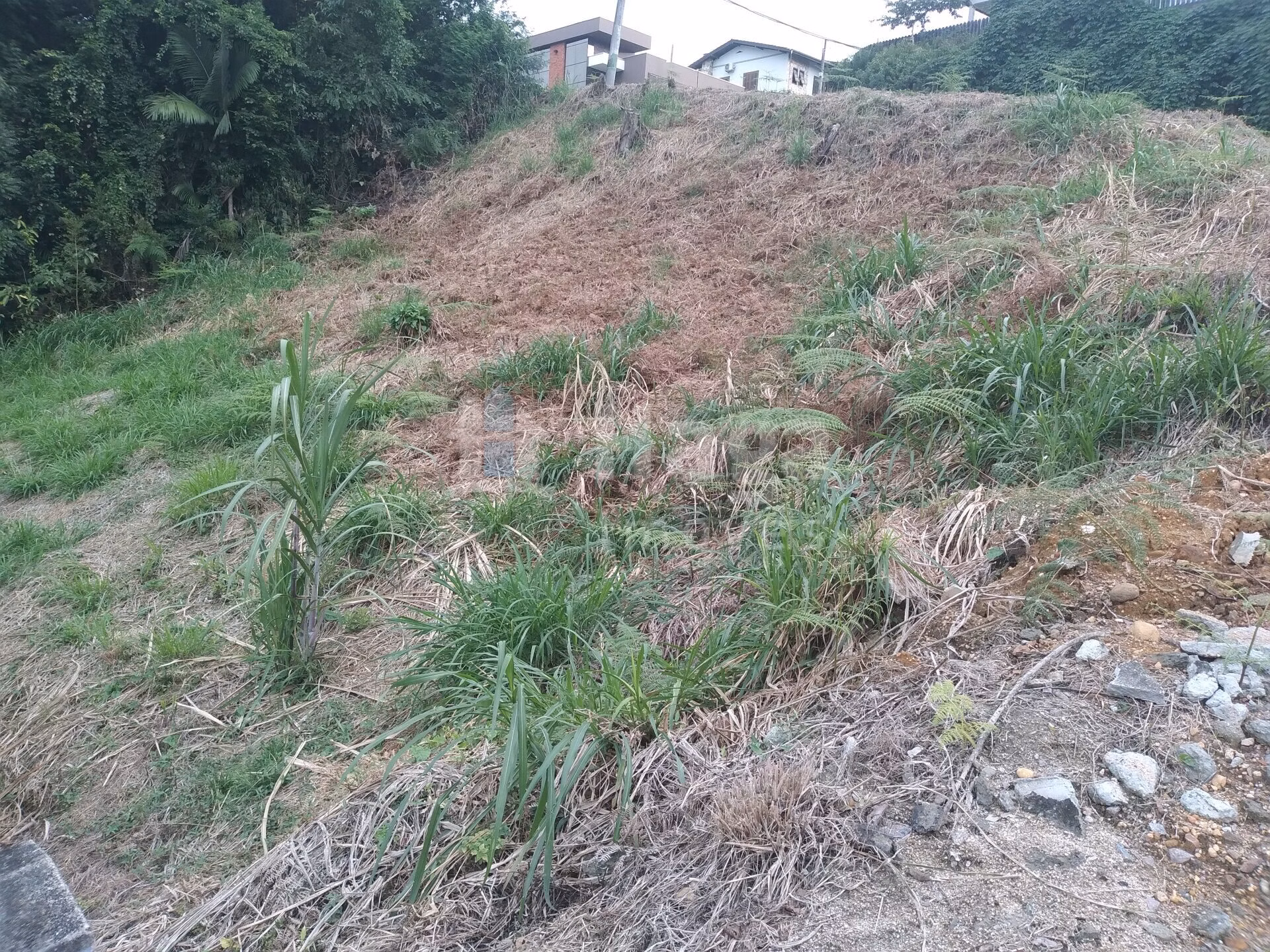 Terreno de 490 m² em Brusque, SC