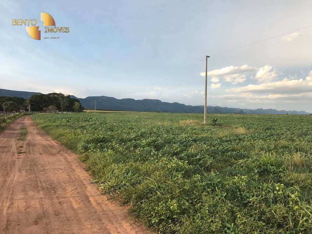Fazenda de 1.465 ha em Nossa Senhora do Livramento, MT