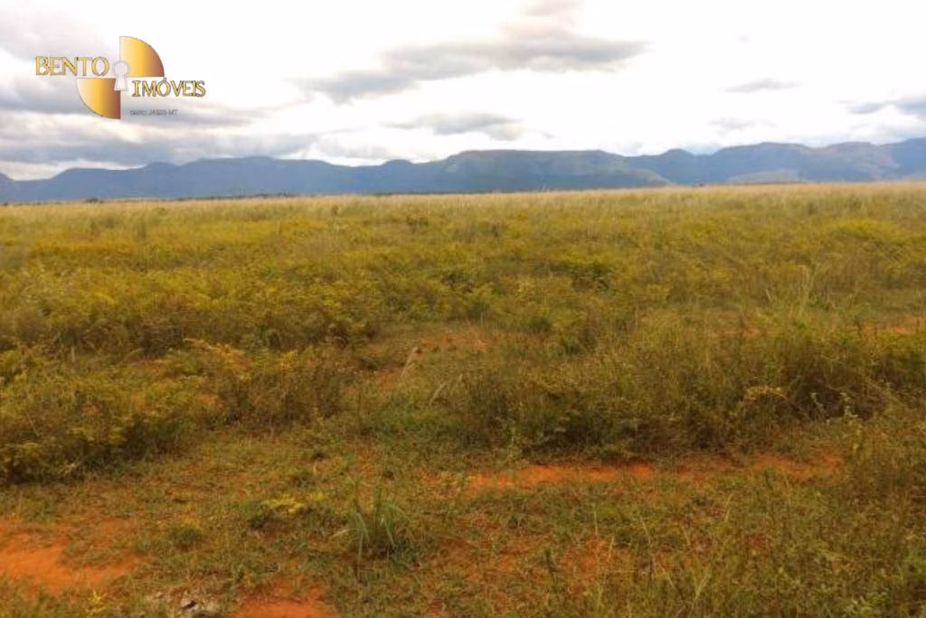 Fazenda de 1.465 ha em Nossa Senhora do Livramento, MT