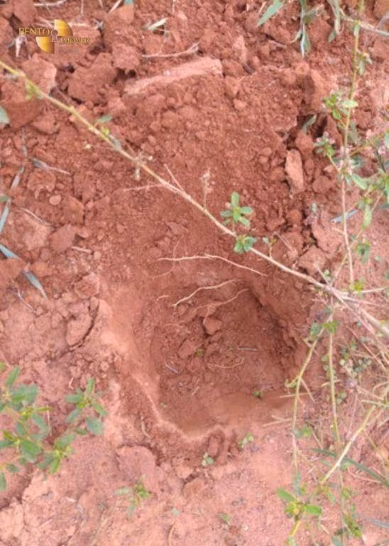 Fazenda de 1.465 ha em Nossa Senhora do Livramento, MT