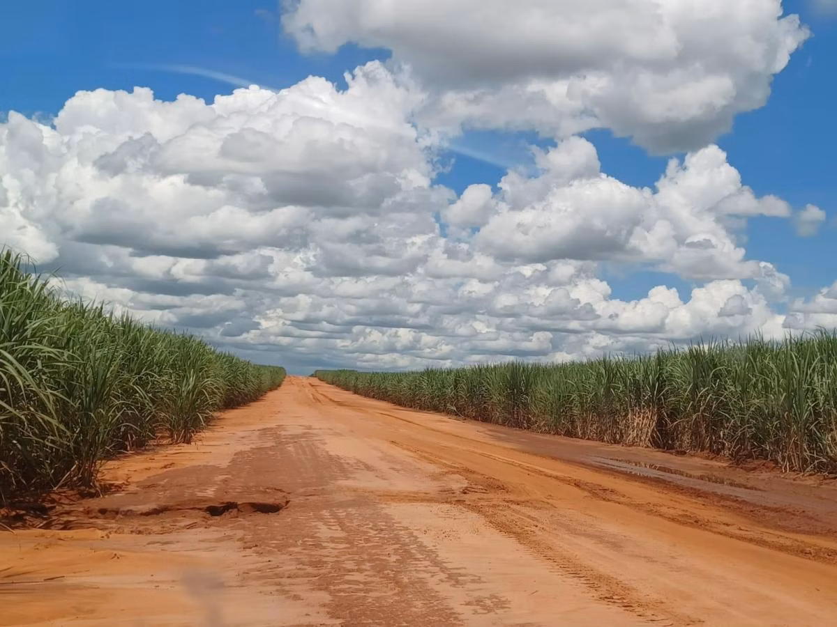 Ferme à vendre de 265 ha à Junqueirópolis, SP