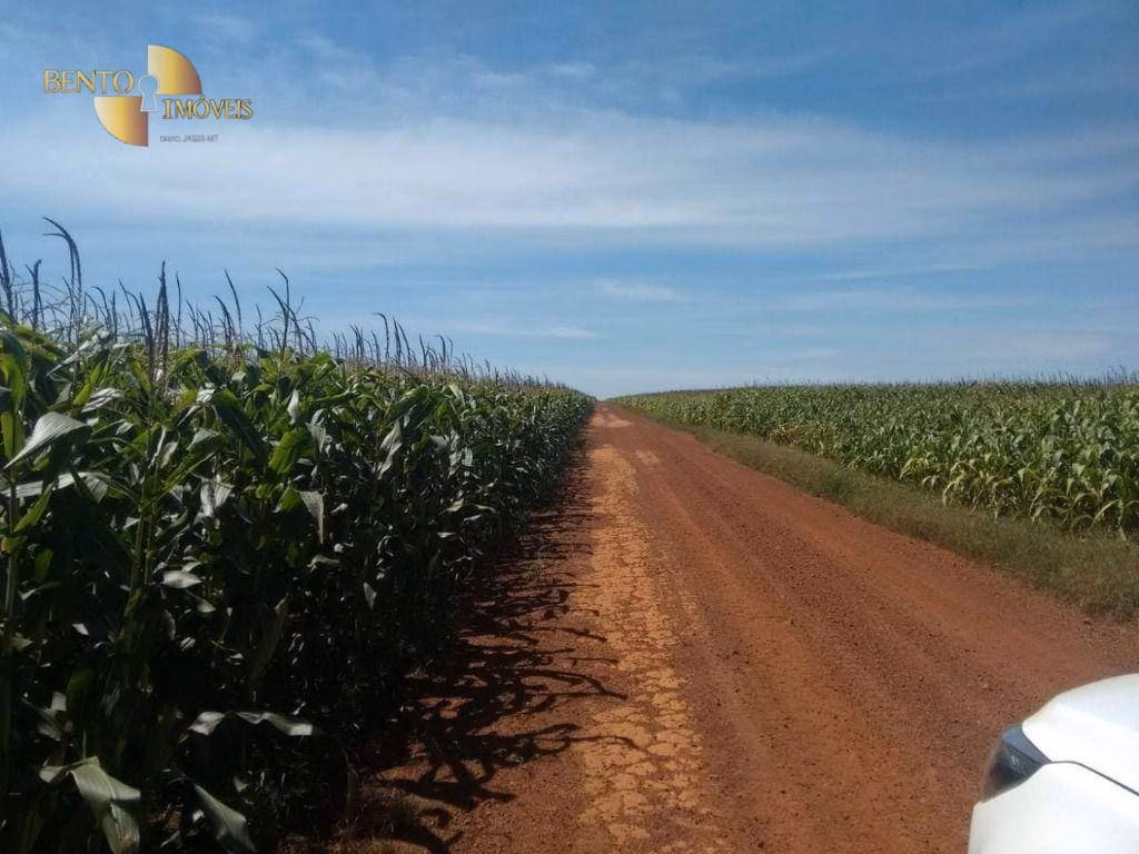 Fazenda de 39.000 ha em Confresa, MT