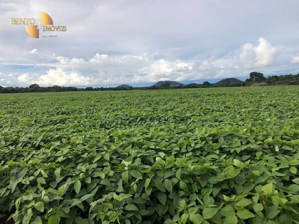 Fazenda de 39.000 ha em Confresa, MT