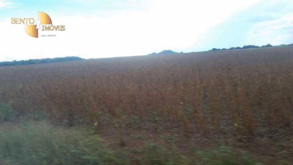Fazenda de 39.000 ha em Confresa, MT